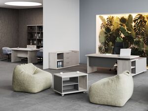 Кабинет руководителя Vilas