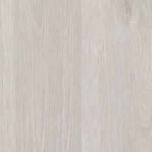 Дуб жемчужный