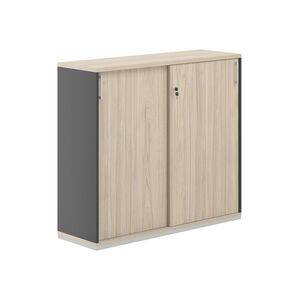 Шкаф-купе 3 уровня 1238