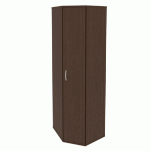 Угловой гардероб с дверью